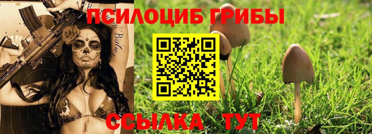 Псилоцибиновые грибы мухоморы Димитровград