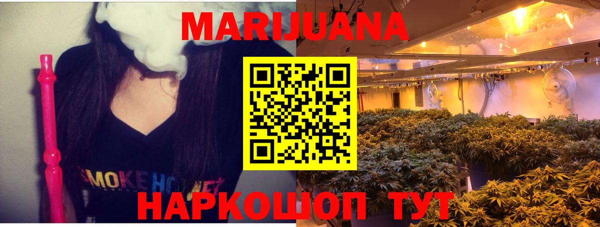 Конопля MAZAR  Марихуана планчик  Димитровград  Бошки Шишки индика  Вход с VPN 
